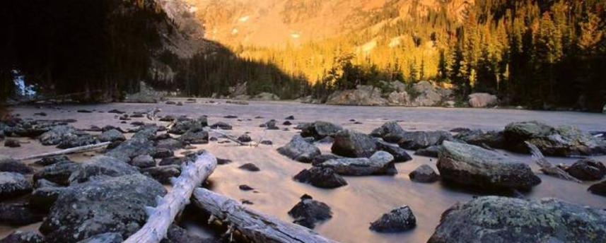 烟台花为媒鲜花有限公司轮播图2