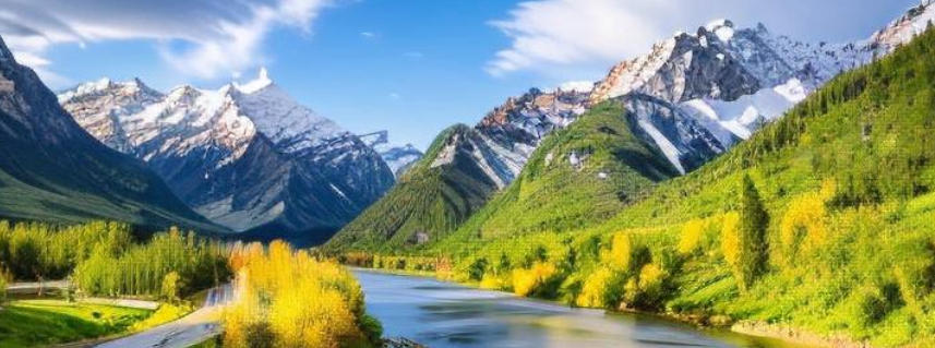 烟台花为媒鲜花有限公司轮播图4